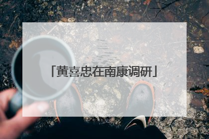 黄喜忠在南康调研