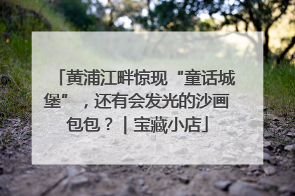 黄浦江畔惊现“童话城堡”，还有会发光的沙画包包？｜宝藏小店