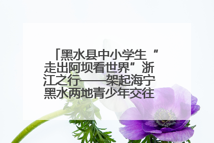 黑水县中小学生“走出阿坝看世界”浙江之行——架起海宁黑水两地青少年交往交流交融新桥梁