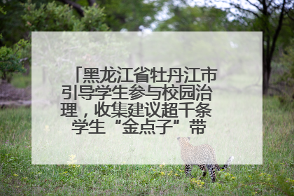 黑龙江省牡丹江市引导学生参与校园治理，收集建议超千条 学生“金点子”带来学校“新样子”