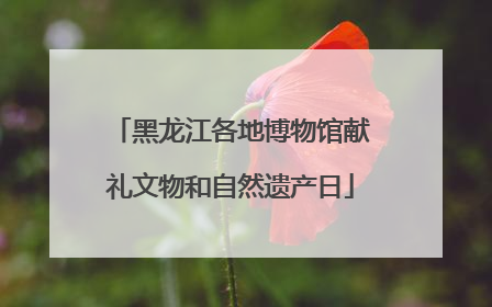 黑龙江各地博物馆献礼文物和自然遗产日