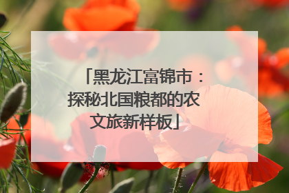 黑龙江富锦市：探秘北国粮都的农文旅新样板