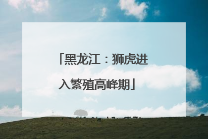黑龙江：狮虎进入繁殖高峰期