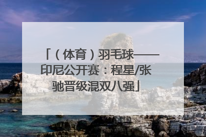 （体育）羽毛球——印尼公开赛：程星/张驰晋级混双八强