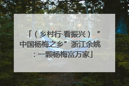 （乡村行·看振兴）“中国杨梅之乡”浙江余姚：一颗杨梅富万家