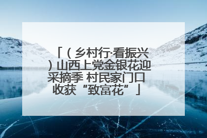 （乡村行·看振兴）山西上党金银花迎采摘季 村民家门口收获“致富花”