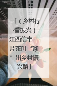 （乡村行·看振兴）江西信丰一片茶叶“沏”出乡村振兴路