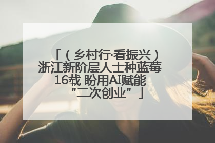 （乡村行·看振兴）浙江新阶层人士种蓝莓16载 盼用AI赋能“二次创业”