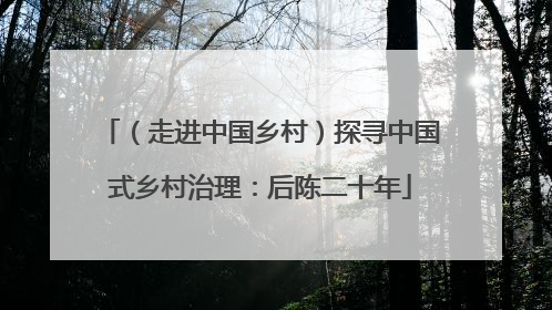 （走进中国乡村）探寻中国式乡村治理：后陈二十年
