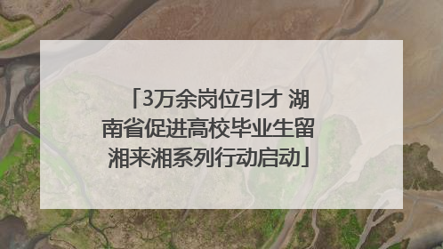3万余岗位引才 湖南省促进高校毕业生留湘来湘系列行动启动
