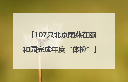 107只北京雨燕在颐和园完成年度“体检”