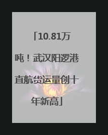 10.81万吨！武汉阳逻港直航货运量创十年新高