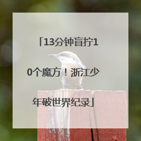 13分钟盲拧10个魔方！浙江少年破世界纪录