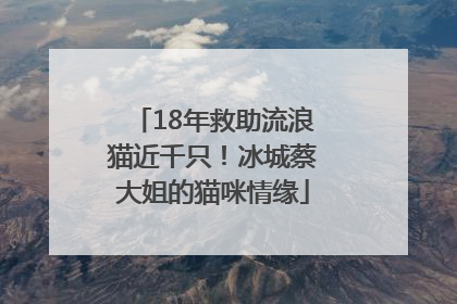 18年救助流浪猫近千只！冰城蔡大姐的猫咪情缘
