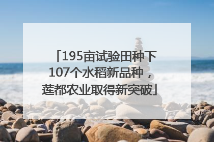 195亩试验田种下107个水稻新品种，莲都农业取得新突破