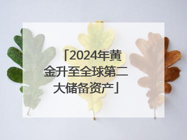 2024年黄金升至全球第二大储备资产