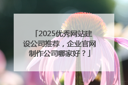 2025优秀网站建设公司推荐，企业官网制作公司哪家好？