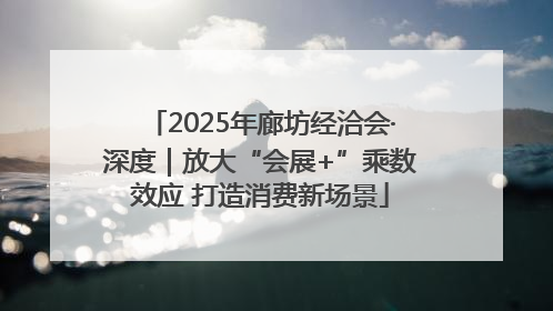 2025年廊坊经洽会·深度｜放大“会展+”乘数效应 打造消费新场景