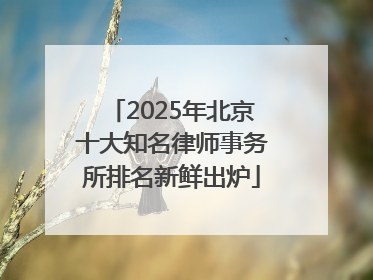 2025年北京十大知名律师事务所排名新鲜出炉