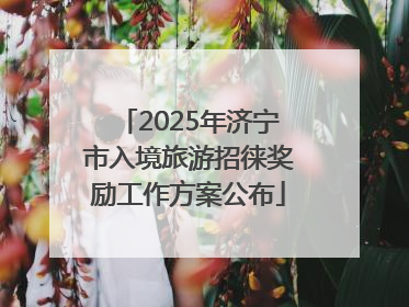 2025年济宁市入境旅游招徕奖励工作方案公布