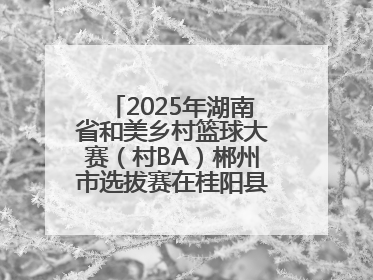 2025年湖南省和美乡村篮球大赛（村BA）郴州市选拔赛在桂阳县火热开赛