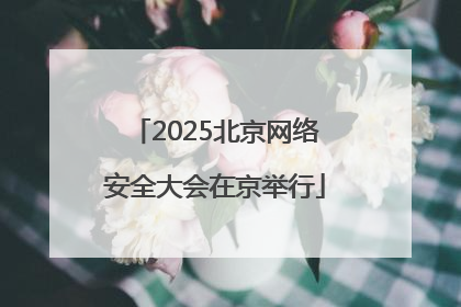 2025北京网络安全大会在京举行