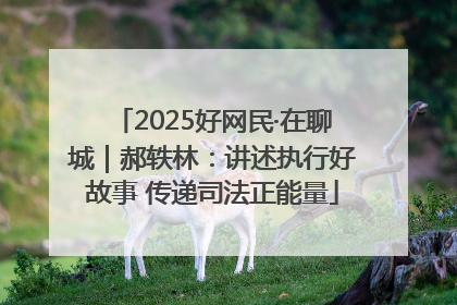 2025好网民·在聊城｜郝轶林：讲述执行好故事 传递司法正能量