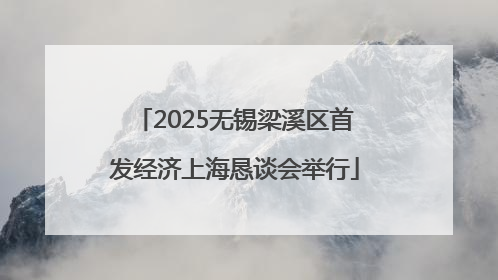 2025无锡梁溪区首发经济上海恳谈会举行