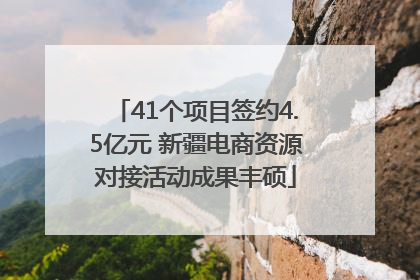 41个项目签约4.5亿元 新疆电商资源对接活动成果丰硕