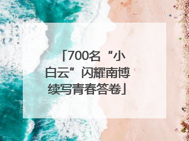 700名“小白云”闪耀南博续写青春答卷