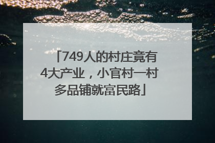 749人的村庄竟有4大产业，小官村一村多品铺就富民路