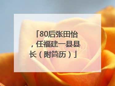 80后张田怡，任福建一县县长（附简历）
