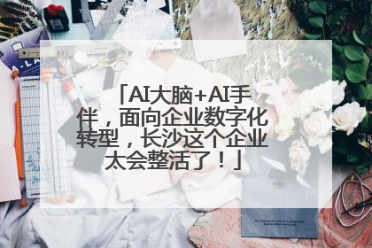 AI大脑+AI手伴，面向企业数字化转型，长沙这个企业太会整活了！