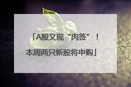 A股又现“肉签”！本周两只新股将申购