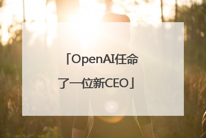 OpenAI任命了一位新CEO