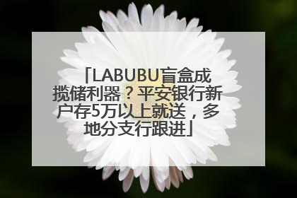 LABUBU盲盒成揽储利器？平安银行新户存5万以上就送，多地分支行跟进